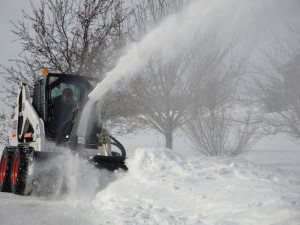 snow_bobcat