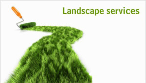 Landscaping-Services